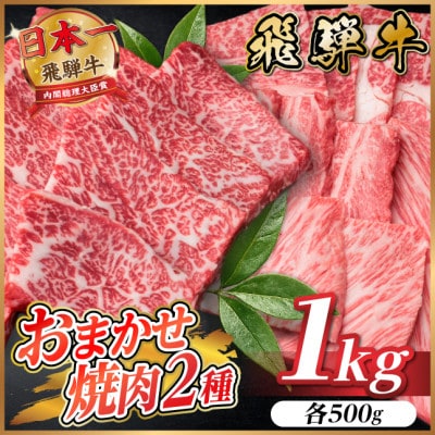 飛騨牛　おまかせ焼肉2種セット約1kg(各約500g) 訳あり　BBQ　上カルビ・ロースなど【配送不可地域：離島】【1738980】