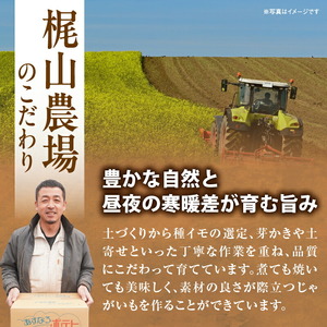 じゃがいも 男爵 5kg じゃがいも 北海道産 _S041-0005-2026
