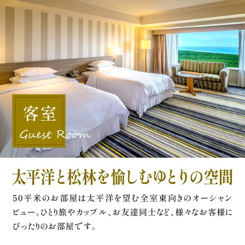 《2026年9月発券》【1泊お食事なし】ペア宿泊券　スタンダードツイン(50平方メートル) ホテル 温泉 観光