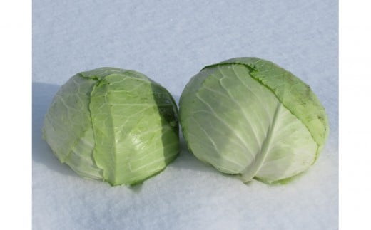 【先行予約】【数量限定】北海道産雪の下キャベツ２玉