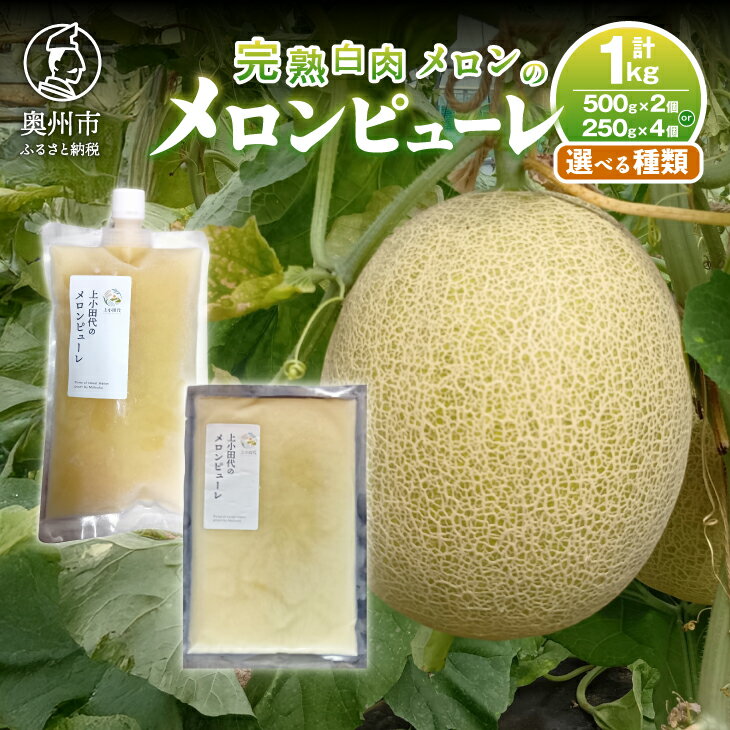 【ふるさと納税】 完熟白肉メロンでつくったメロンピューレ 選べる種類 500g×2個/250g×4個 スパウト/パウチ 果物 くだもの フルーツ 甘い 果肉 ジューシー デザート 冷凍 数量限定 [T0026]