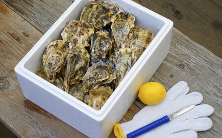 【 生食可 】九十九島殻付かき特選 2kg以上 牡蠣 カキ A158