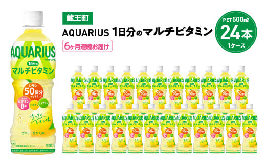 
            【6か月連続お届け】アクエリアス1日分のマルチビタミン　500ml PET×24本　【04301-0687】
          