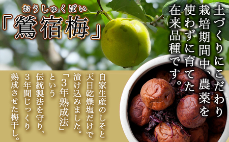 徳重おばあちゃんがつくった昔ながらの3年熟成梅干600g_MJ-4901_(都城市) あったかいご飯やお茶漬け・お料理の調味料に 鶯宿梅(おうしゅくばい) 梅ぼし 伝統農法 肉厚 徳重紅梅園