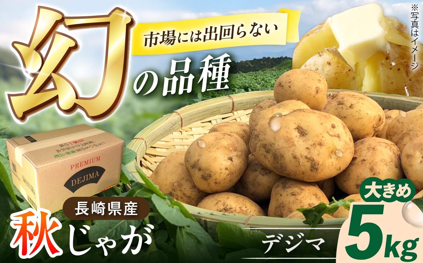 
                  なんぐしデジマ（秋作じゃがいも）大きめ5kg 長崎県/なんぐしデジマプロジェクトチーム [42ALAI007] デジマ じゃがいも ジャガイモ 秋作 秋じゃが 5kg 雲仙 長崎 国産 ほくほく 野菜 旬 家庭用
                