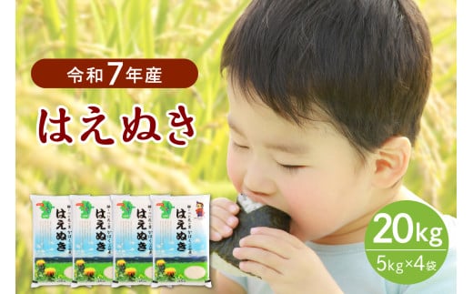 【令和7年産米】2026年2月下旬発送 はえぬき20kg（5kg×4袋）山形県産 【JAさがえ西村山】