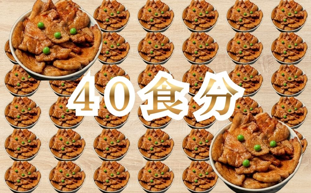 【11月配送】ホクレン 北海道のぶた丼 （2食入り）250g×20袋 北海道産 豚肉使用 産地直送 冷凍