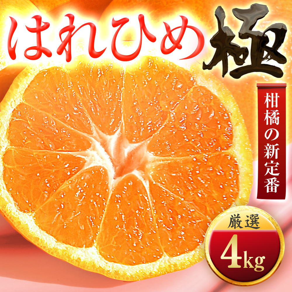 【太陽をたっぷり浴びた】はれひめ【極】4kg【C49-81】【1621793】 YWTZ066