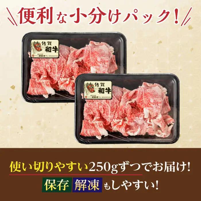 【定期便】牛肉切り落とし 計500g NAC163 牛肉切り落とし 全6回