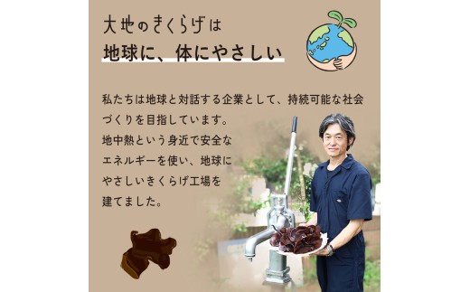 きくらげ キクラゲ 木耳 乾燥きくらげ 大地のきくらげ 国産きくらげ
