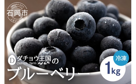 冷凍 ブルーベリー  普通1kg ダチョウ王国産 ( 1kg 1パック ) 完熟 1キロ 果物 フルーツ 国産 産地直送 農家直送 産直 くだもの スムージー ジャム ヨーグルト デザート 茨城 茨城県 石岡市 (C05-021)