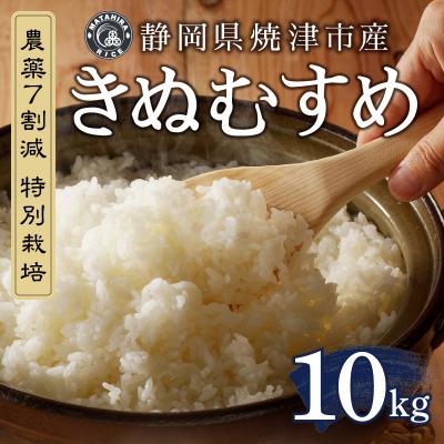 ふるさと納税 焼津市 特別栽培 きぬむすめ 白米10kg(5kg×2袋)(a42-012) |  | 01