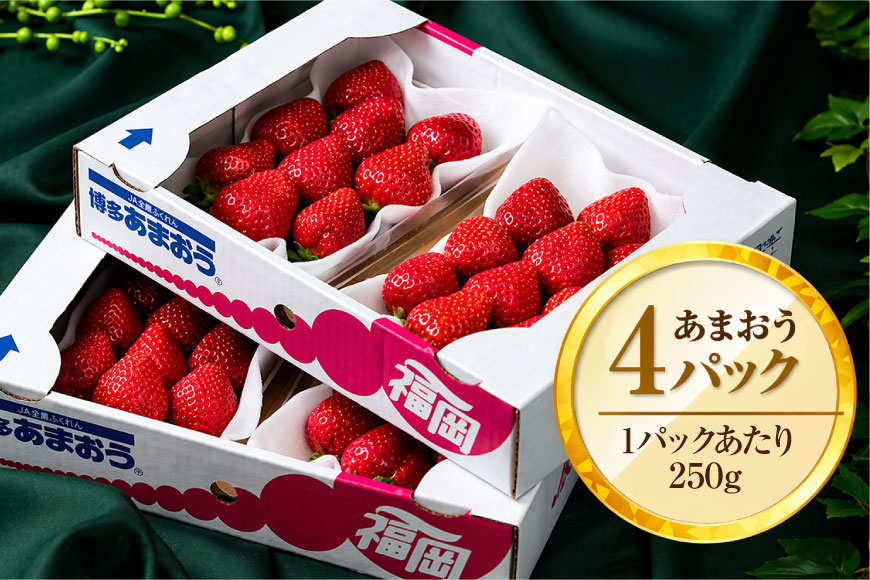 いちご あまおう 福岡産あまおう 冬 4パック 【期間限定発送】 [南国フルーツ 福岡県 宇美町 um40azo970040] 先行予約 イチゴ 苺 フルーツ 果物 果実 甘い あまい 小分け
