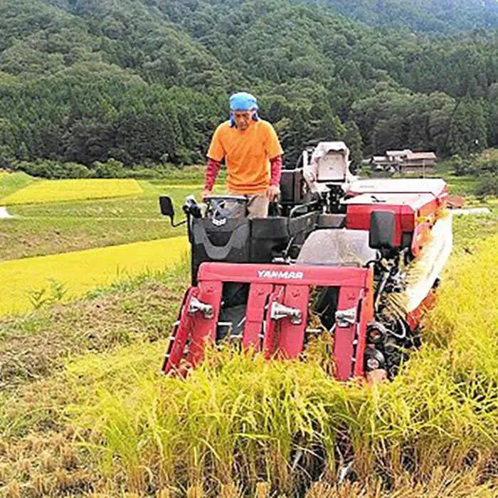 【精米】 食べ比べ 6kg こしひかり つや姫 令和7年産 精米 白米 [ALBW001]