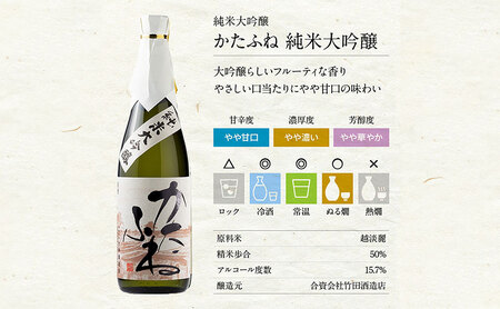 日本酒 越路乃紅梅 かたふね 純米大吟醸 720ml 2本 セット お酒 おすすめ 酒 ふるさと納税 新潟 新潟県産 にいがた 上越 上越産