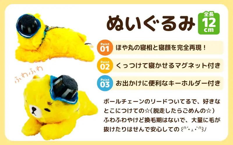 坂井市公式キャラクター「坂井ほや丸」おやすみほやぬい (ボールチェーンぬいぐるみ12cm) ＆ 限定アクリルキーホルダー [A-20606]