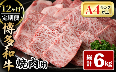 ＜全12回定期(毎月)＞博多和牛焼肉用(総計6kg)牛肉 黒毛和牛 国産 BBQ 化粧箱 贈答 ギフト プレゼント 定期便＜離島配送不可＞【ksg1721】【MEATPLUS】