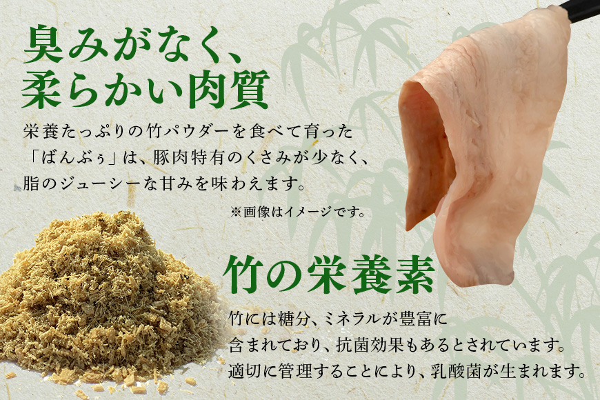 ブランド豚「ばんぶぅ」ヒレブロック1本（400g以上） ばんぶぅ 豚肉 ヒレ ヒレ肉 ヒレブロック ブロック肉 ひれ肉 豚ヒレ ひれ しゃぶしゃぶ 焼き肉 真空パック 焼肉用 ぶた肉 ブタ肉 国産 茨城県産 ギフト プレゼント 冷蔵 高級部位 ブランド豚 42-I
