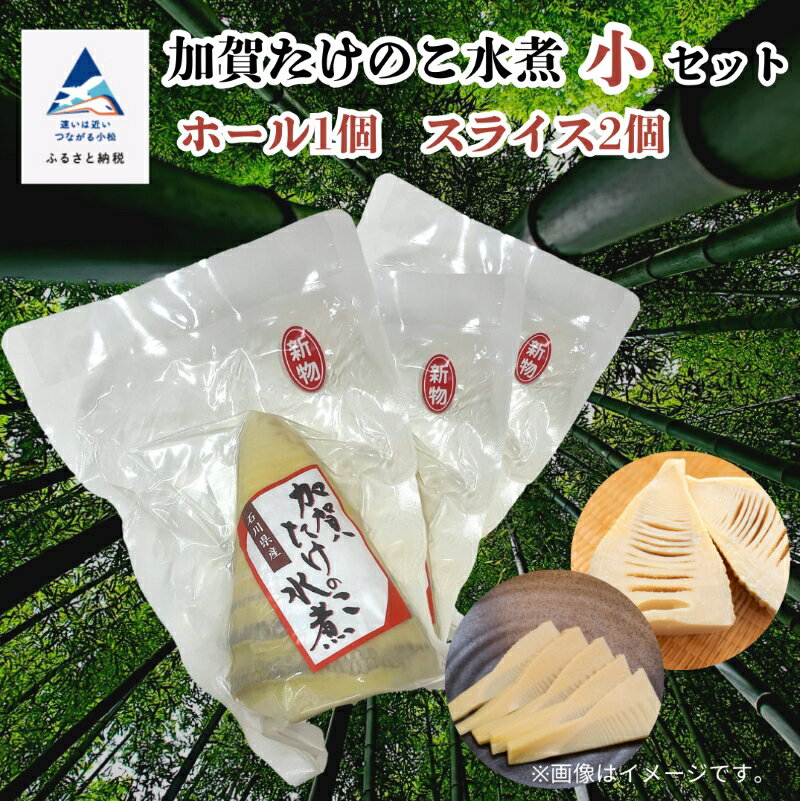 【ふるさと納税】《 真空包装で手軽に使える 》 加賀たけのこ水煮 小セット セット 詰め合わせ グルメ お取り寄せ 人気 ランキング おすすめ お中元 お歳暮 ギフト 小松市 こまつ 石川県 ふるさと 故郷 納税 006018【山木食品工業】