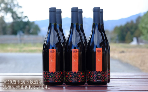 奥出雲葡萄園 杜のワイン赤 6本セット ワイン お酒 ギフト 国産 熟成ワイン 熟成 酒 赤 赤ワイン 辛口 果実酒 お祝 贈答用 アルコール フルボトル 飲料 島根県雲南市/有限会社奥出雲葡萄園 |