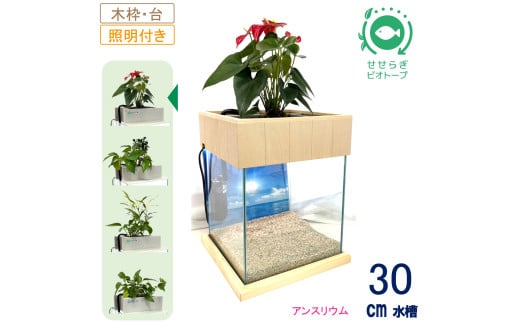 せせらぎビオトープ　30cm型照明+木枠台セット（アンスリウム）