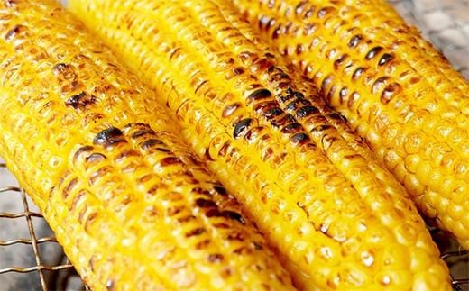 2026年夏発送 ★数量50限定品★ 北海道のとうもろこし「ゴールドラッシュ」 10本セット  (岸田農園産)【 野菜 とうもろこし ゴールドラッシュ 北海道 上川町 甘い 新鮮 夏限定 季節野菜 スイートコーン 農園直送 夏野菜 農家直送 】