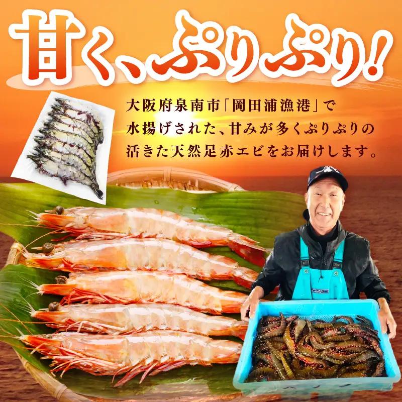 大阪府泉南市産 天然足赤エビ 600g【058D-007】