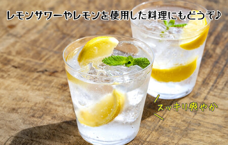 レモン 中玉 国産 箱込2.5kg(内容量約2.3kg) 秀品 L 2L 3L サイズミックス 和歌山県有田産 【みかんの会】