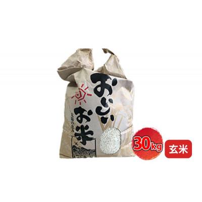 ふるさと納税 姫路市 [令和7年産新米]<10月初旬以降発送予定>きぬひかり玄米30キロ[53650730] |  | 01