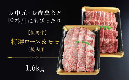 【但馬牛】特選ロース＆モモ1600g (焼肉用) 但馬牛 牛肉 お肉 牛 肉 ロース モモ ロース肉 モモ肉 牛ロース 牛モモ 焼肉用 焼肉 黒毛和牛 国産和牛 ブランド和牛 BBQ バーベキュー 兵