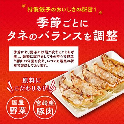 ふるさと納税 宮崎市 宮崎の人気ラーメン店悠瑠里の作る特製餃子72個(12個×6パック) |  | 01
