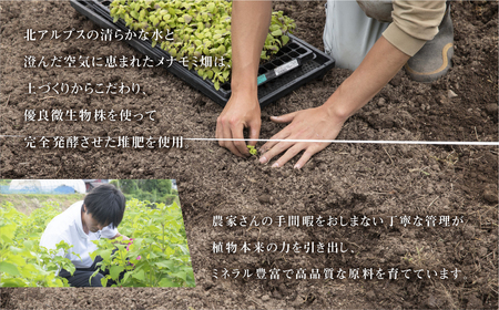 メナモミのサプリメント 「稀薟（きれん）」 120粒 30g サプリ メナモミ100% 野草 めなもみ サプリメント 無農薬 化学肥料不使用 錠剤 さぷりめんと ギフト 贈答 厳選 飛騨市 和草-ni