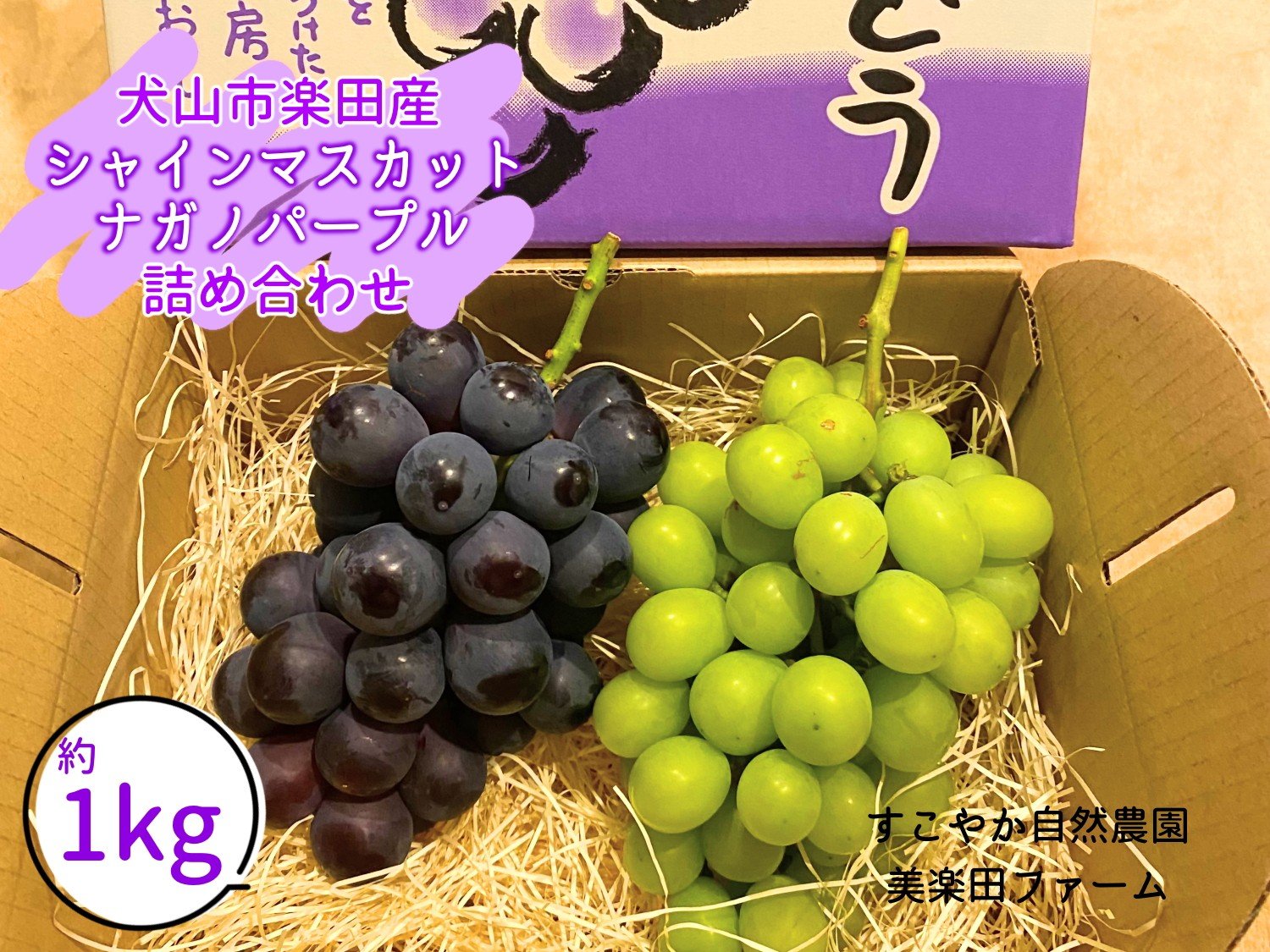 
                  25-17_【2026年先行予約】犬山市楽田産 葡萄（シャインマスカット、ナガノパープル）詰め合わせ ｜ ぶどう 葡萄 マスカット 甘い 詰め合わせ 夏 美楽田ファーム すこやか自然農園 房 ブドウ 愛知県 犬山 ご自宅用 贈答 贈り物 プレゼント ご褒美 シャインマスカット ナガノパープル 種なし 皮ごと
                