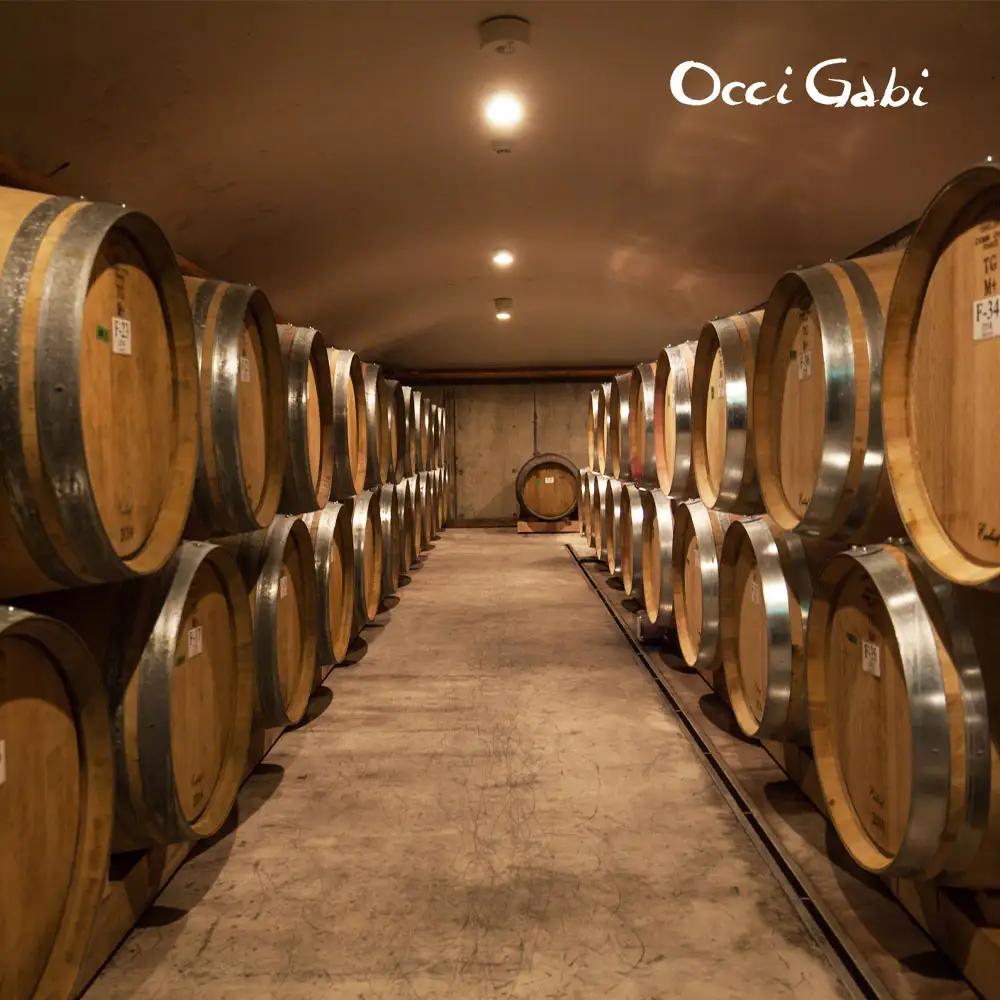 【OcciGabi Winery】ドルンフェルダー 【余市のワイン】 余市 北海道 赤ワイン ドルンフェンダーワイン 人気ワイン おすすめワイン 余市のワイン 北海道のワイン 日本のワイン 国産ワイン