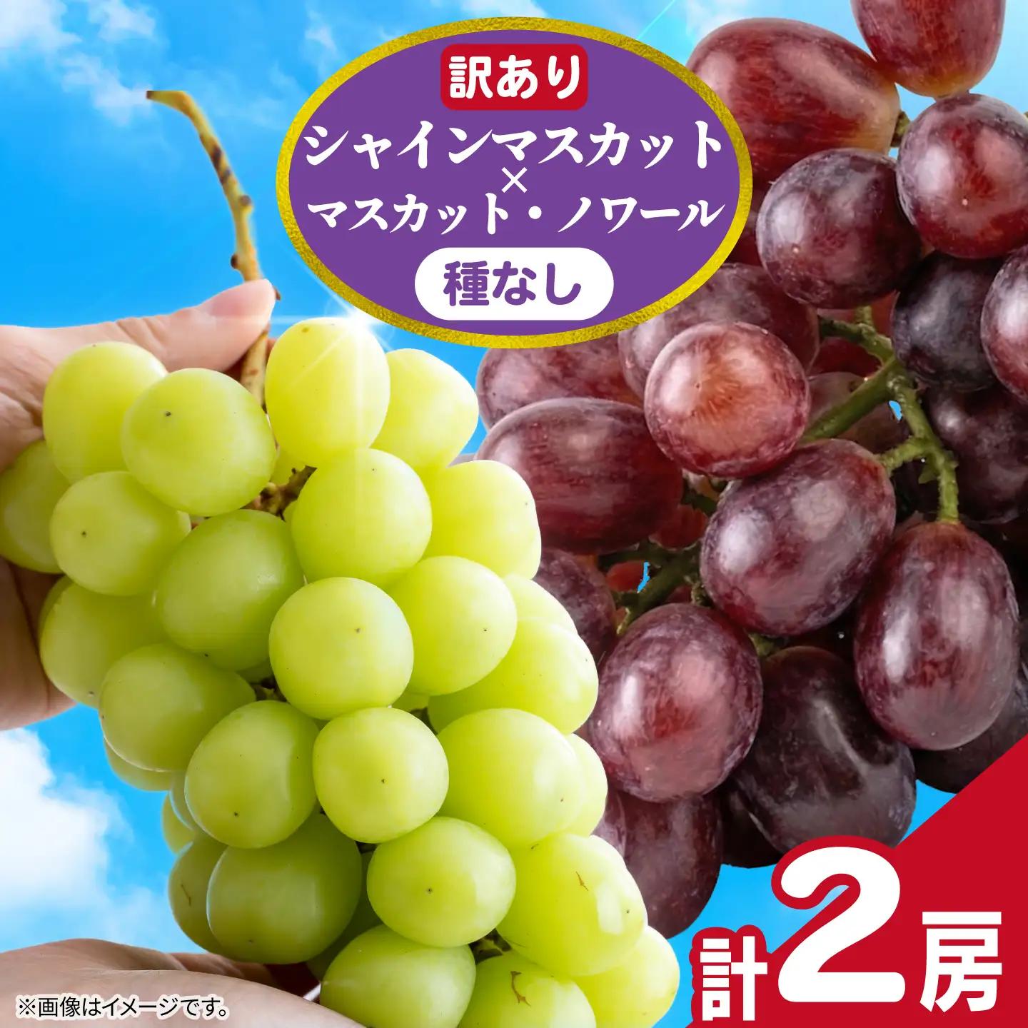 訳あり シャインマスカット × マスカット・ノワール （ 種なし ） 1房 450g 以上