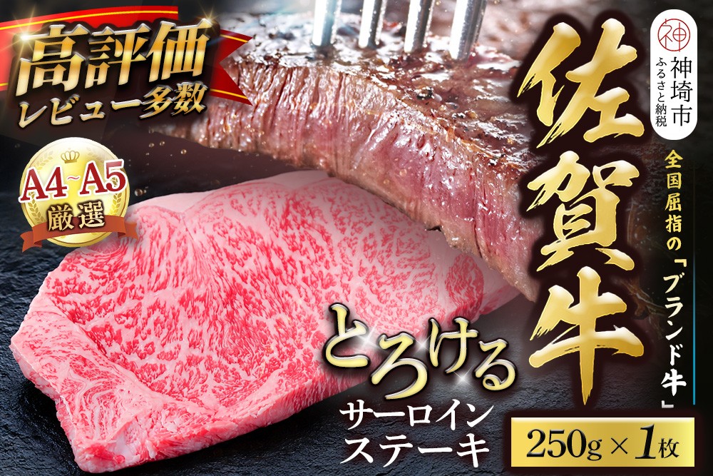 
                  【スピード発送】佐賀牛 サーロインステーキ 250g×1枚【黒毛和牛 牛肉 最高級 冷凍 ギフト 贈答 丸宗ミート 神埼市】(H065220)
                
