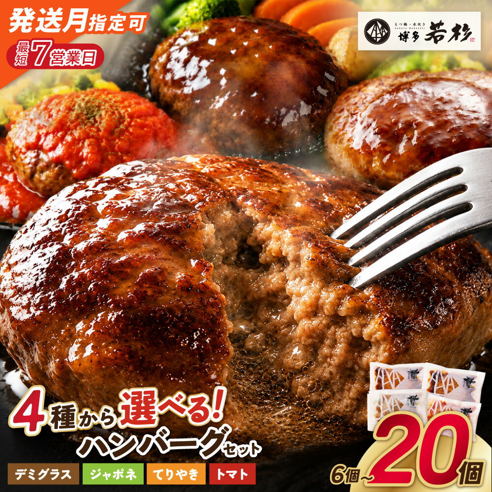 どっちのハンバーグ!?デミグラスソース20個セット