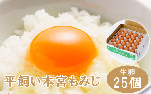 福島県本宮市産　平飼い本宮もみじ卵　生卵25個　【07214-0012】