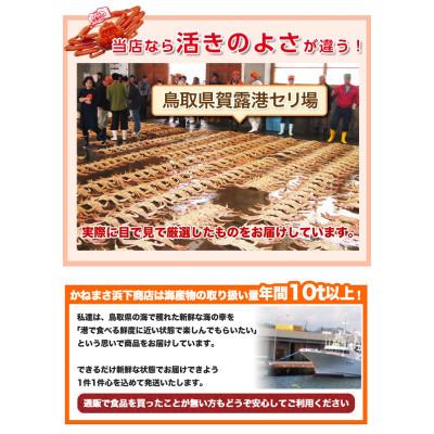 ふるさと納税 若桜町 【先行予約】鳥取県産　訳あり活松葉がに　2〜3枚で1.2kg以上(1〜4本足落ち) |  | 02