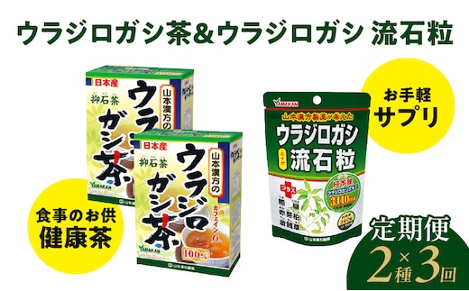 
										
										＜3ヶ月連続＞ウラジロガシ茶＆ウラジロガシ 流石粒［ウラジロガシ茶 健康茶 人気健康茶 健康茶定期便 人気定期便 ］
									