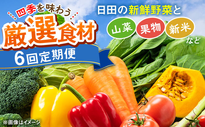 
            【全6回定期便】農家セレクト！特別栽培 日田の厳選食材 詰め合わせ 日田市 / 自然工房Mori 野菜 果物 米 産地直送 新鮮 セット　野菜 米 くだもの[ARBR003]
          