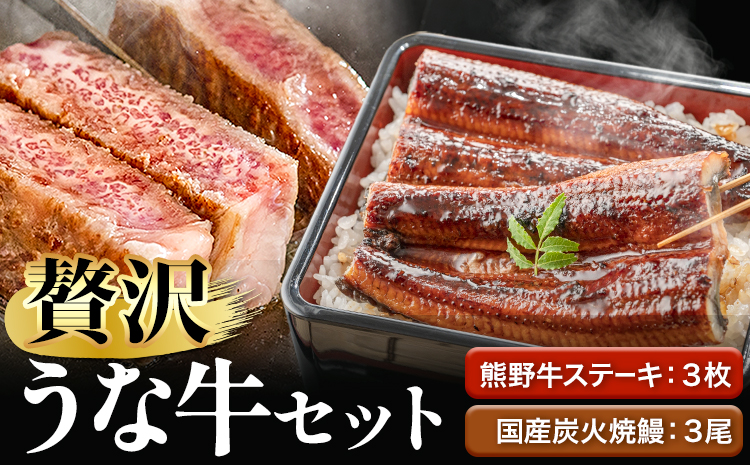 ステーキ 鰻 熊野牛 国産うなぎ 熊野牛ステーキと国産炭火焼鰻の贅沢うな牛セットＢ 計6食 株式会社Meat Factory《30日以内に出荷予定(土日祝除く)》ステーキ 蒲焼 鰻の蒲焼 うなぎの蒲焼き ロースステーキ 牛肉 肉 国産 うなぎ 送料無料(F)
