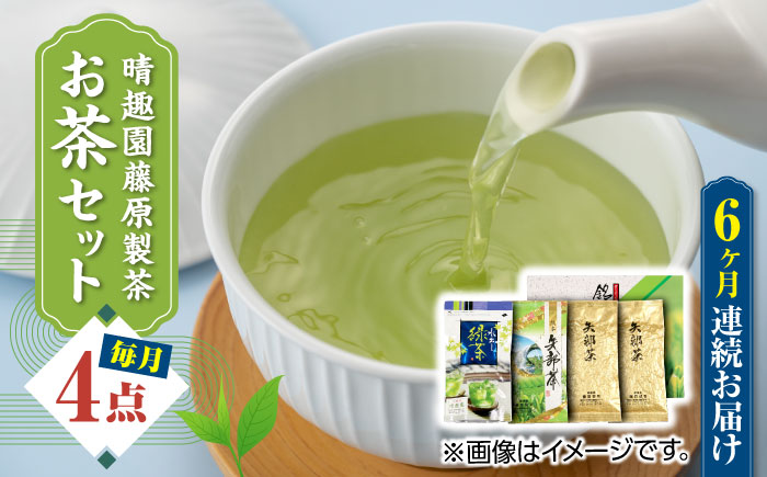 【全6回定期便】晴趣園 藤原製茶 お茶 セット 蒸製玉緑茶 4点セット 化粧箱入り 矢部茶 玉緑茶 緑茶 水出し 熊本県産 山都町産 【一般社団法人 山都町観光協会】[YAB046]