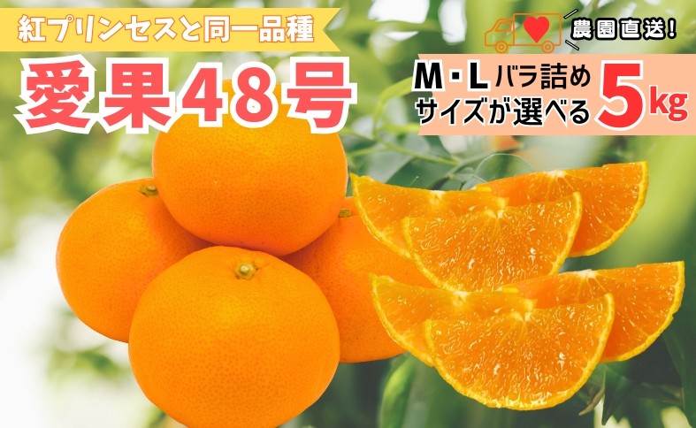 
                  【2027年先行予約】みかん 愛果48号 5kg 【サイズが選べる】 Mサイズ Lサイズ バラ詰め 贈答用 【2027年3月中旬より順次発送予定】 紅プリンセスと同一品種 農園直送 愛媛 数量限定 愛媛県産 人気 柑橘 伊予市
                