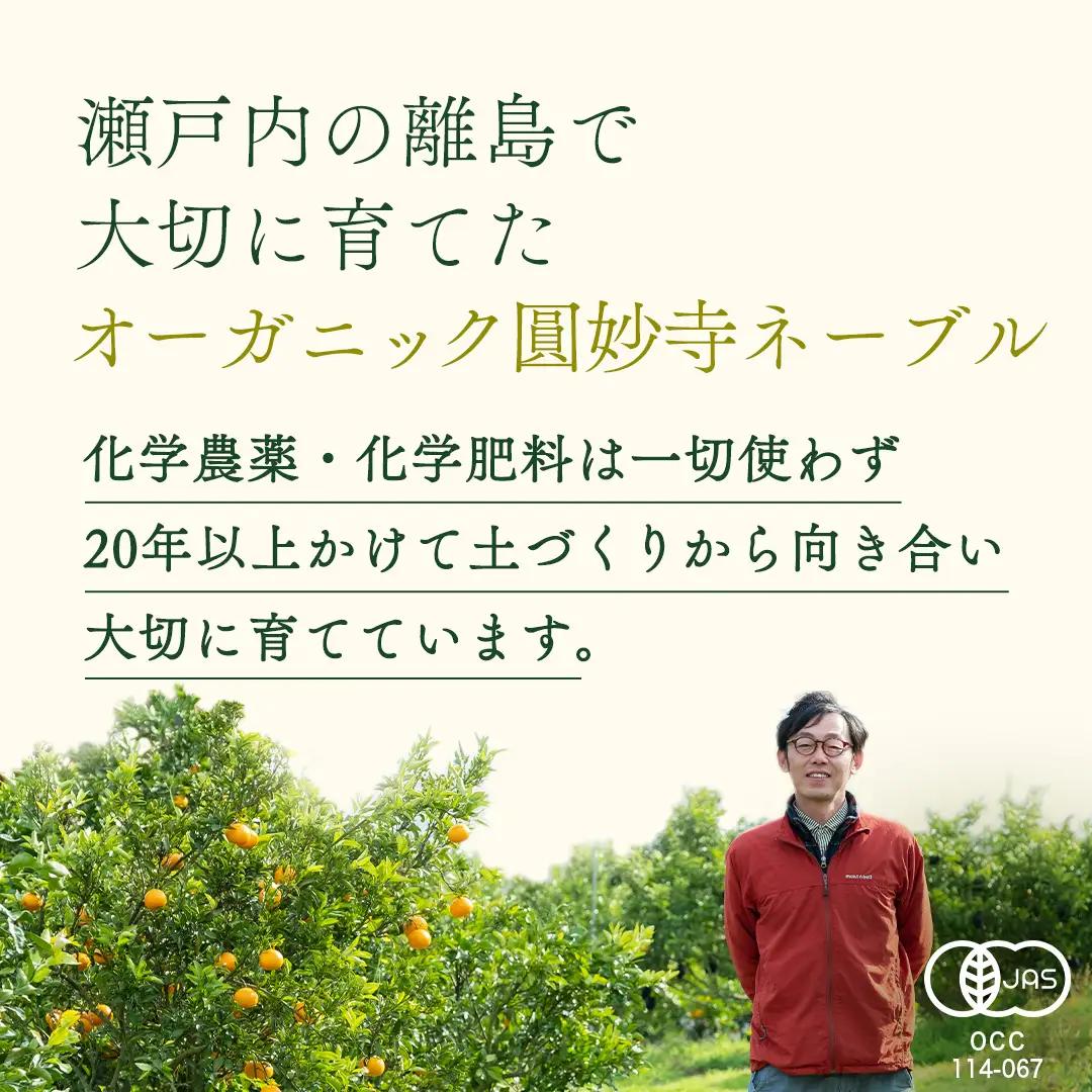 【 先行予約 】 瀬戸内 オーガニック 圓妙寺 ネーブル 9kg ( 25～35個程度 )+お試しオーガニックレモン1個 【2027年1月中旬以降発送】 