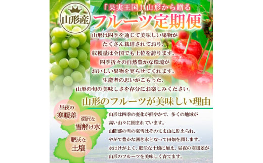 【定期便4回】☆フルーツ王国山形☆和なし・白桃・ラフラ