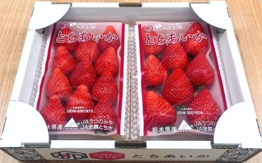 朝摘み『とちあいか』 栃木のイチゴ　大粒　280g以上×2P ｜ いちご イチゴ 苺 栃木県 果物 フルーツ 甘い 酸味 さっぱり 完熟　※離島への配送不可　※2026年1月上旬～4月中旬頃に順次発送