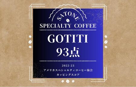 スペシャルティコーヒー焙煎豆 中深煎り 300g 定期便 全6回【2か月に1回配送コース】