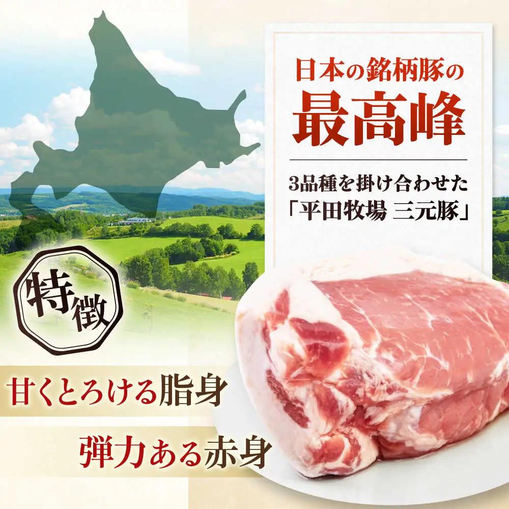  ロース ブロック 600g ロースブロック AJAP070