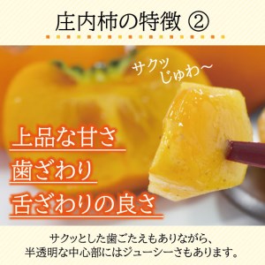 SA2920　庄内柿　約7.5kg